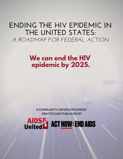 Ending The Hiv Epidemic In The Us Aids United